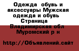 Одежда, обувь и аксессуары Мужская одежда и обувь - Страница 2 . Владимирская обл.,Муромский р-н